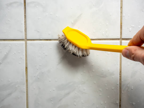 Best Black Mold Removal  in Alpharetta, GA