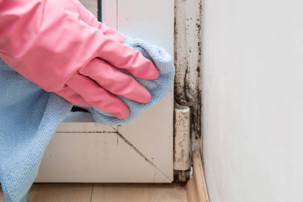 Crawl Space Mold Removal in Alpharetta, GA